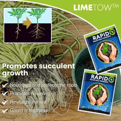 LIMETOW™ Schnellwurzel-Pulver (1+1 Gratis)