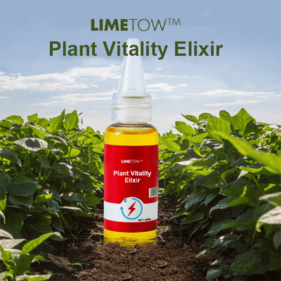 LIMETOW™ – Phytovitamin-Lösung (2+1 Gratis)