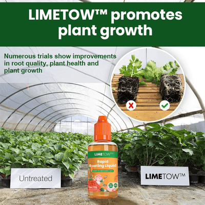 LIMETOW™ – Schnellwurzel-Aktivator (1+1 Gratis)