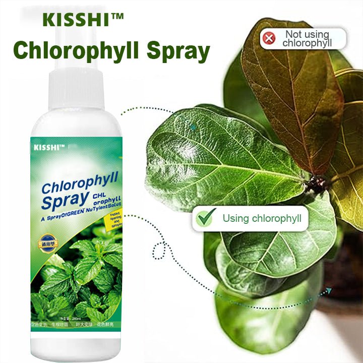 KISSHI™ – Chlorophyll Spray ACE 2 (1+1 Gratis)