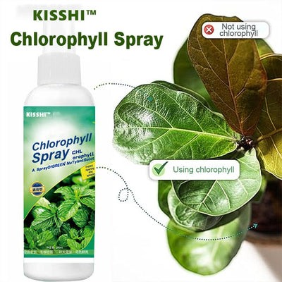 KISSHI™ – Chlorophyll Spray ACE 2 (1+1 Gratis)