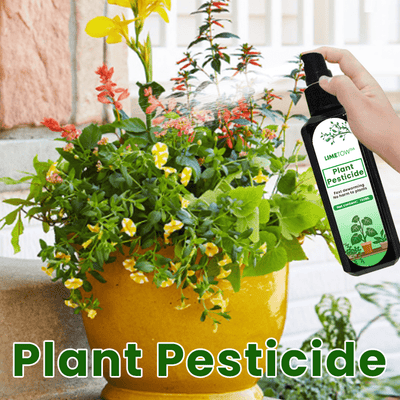 LIMETOW™ – Pflanzen-Pestizid (1+1 Gratis)