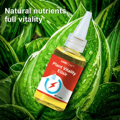 LIMETOW™ – Phytovitamin-Lösung (2+1 Gratis)