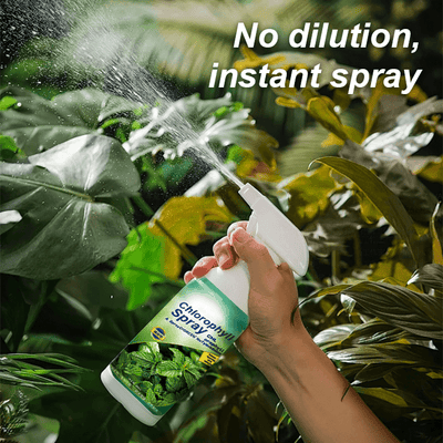 KISSHI™ – Chlorophyll Spray ACE 2 (1+1 Gratis)