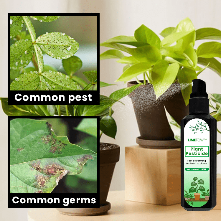 LIMETOW™ – Pflanzen-Pestizid (1+1 Gratis)