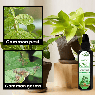 LIMETOW™ – Pflanzen-Pestizid (1+1 Gratis)