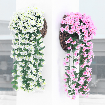 Florenza™ – Schwebende Orchideen-Arrangements für ein elegantes Zuhause (1+1 Gratis)