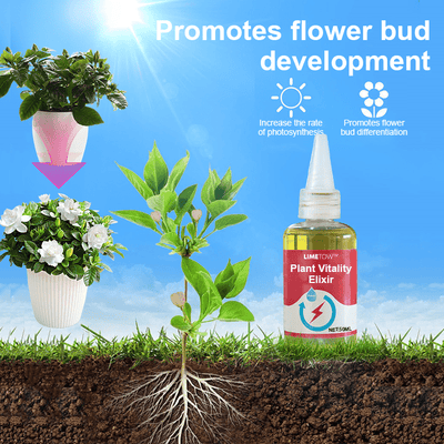 LIMETOW™ – Phytovitamin-Lösung (2+1 Gratis)