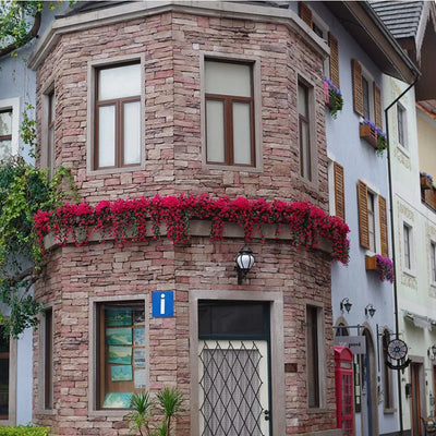 Florenza™ – Schwebende Orchideen-Arrangements für ein elegantes Zuhause (1+1 Gratis)