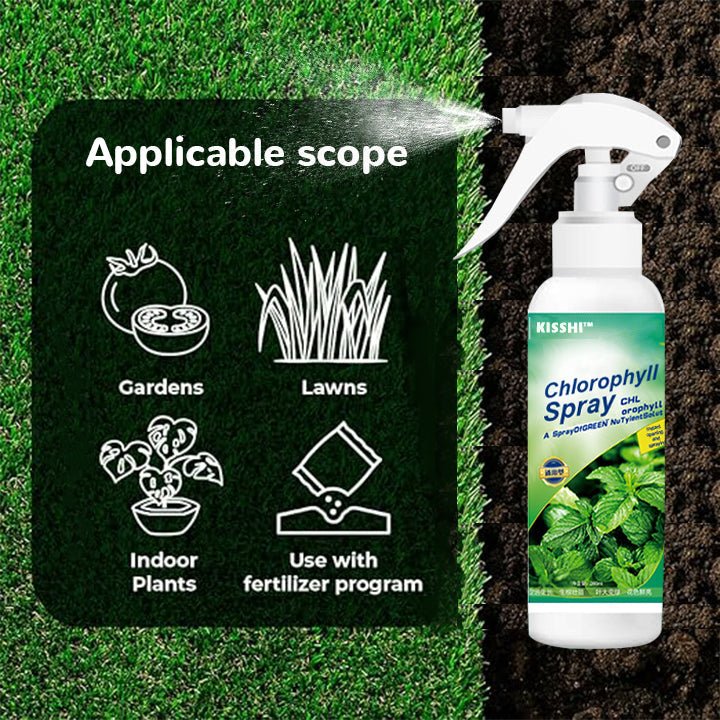 KISSHI™ – Chlorophyll Spray ACE 2 (1+1 Gratis)