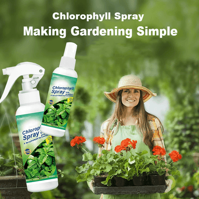 KISSHI™ – Chlorophyll Spray ACE 2 (1+1 Gratis)