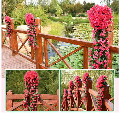 Florenza™ – Schwebende Orchideen-Arrangements für ein elegantes Zuhause (1+1 Gratis)
