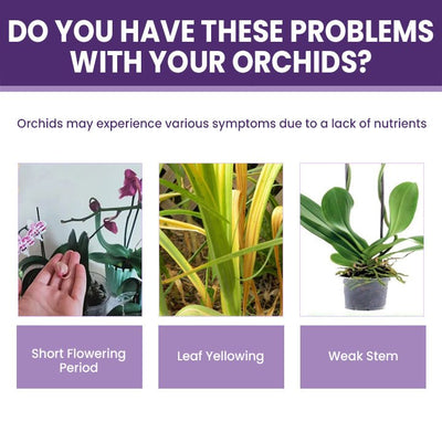 LIMETOW™ Orchid Plus Blüten-Booster (1+1 Gratis)