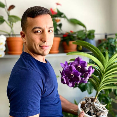 LIMETOW™ Orchid Plus Blüten-Booster (1+1 Gratis)