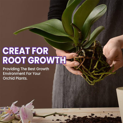 LIMETOW™ Orchid Plus Blüten-Booster (1+1 Gratis)