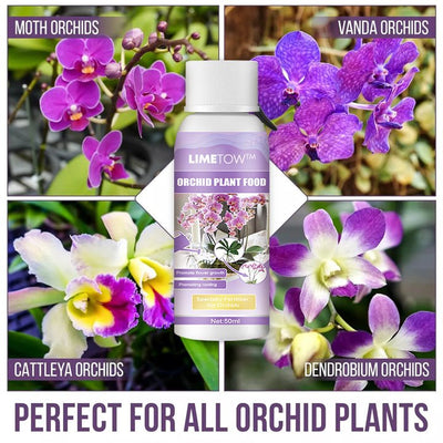 LIMETOW™ Orchid Plus Blüten-Booster (1+1 Gratis)