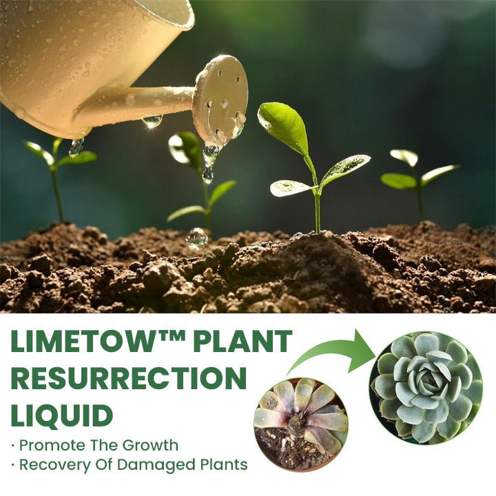 LIMETOW™ Pflanzen-Wiederbelebungsflüssigkeit (1+1 Gratis)
