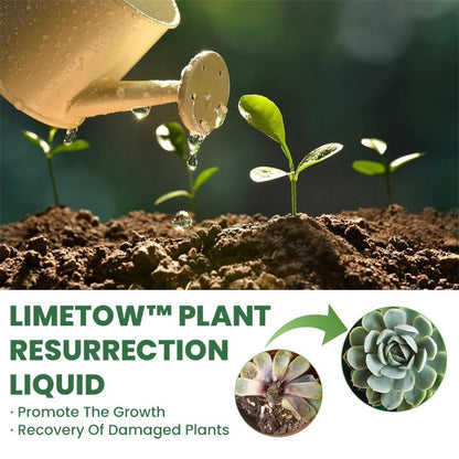 LIMETOW™ Pflanzen-Wiederbelebungsflüssigkeit (1+1 Gratis)