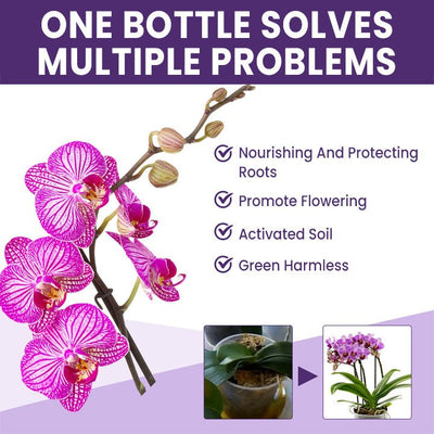 LIMETOW™ Orchid Plus Blüten-Booster (1+1 Gratis)