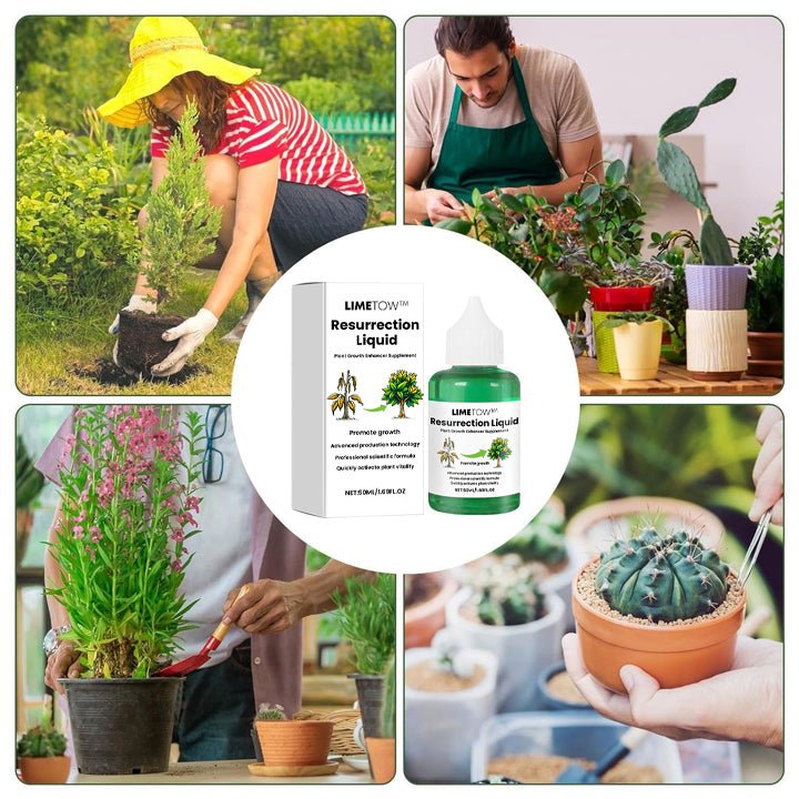 LIMETOW™ Pflanzen-Wiederbelebungsflüssigkeit (1+1 Gratis)