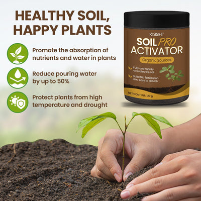 KISSHI™ – Bodenaktivator Pro (1+1 Gratis)