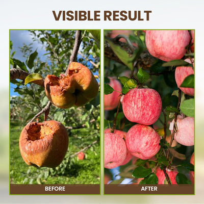 KISSHI™ – Bodenaktivator Pro (1+1 Gratis)